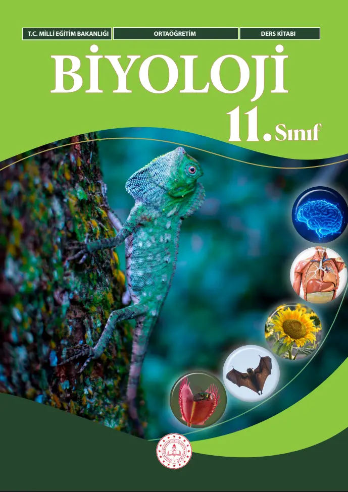 Biyoloji Dersi 11.Sınıf Ders Kitabı