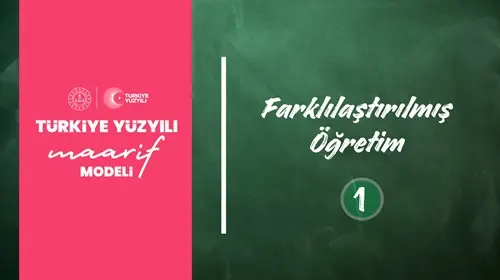 Farklılaştırılmış Öğretim